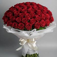 Букет 101 Красная роза Блэк Мэджик в Безопасном