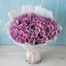 Букет цветов из:  Хризантемы в Безопасном