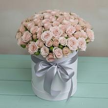 Цветочная композиция из Розы в шляпной коробке #REPLACE_PRED# Безопасном