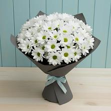 Букет цветов из:  Хризантемы в Безопасном