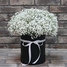 Цветочная композиция из Гипсофила в шляпной коробке #REPLACE_PRED# Безопасном