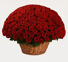 Премиум букет из: Розы #REPLACE_PRED# Безопасном