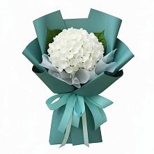 Букет цветов из:  Гортензия #REPLACE_PRED# Безопасном